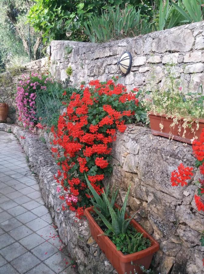 La Casa Di Antonella Villa Vico Del Gargano Exterior foto